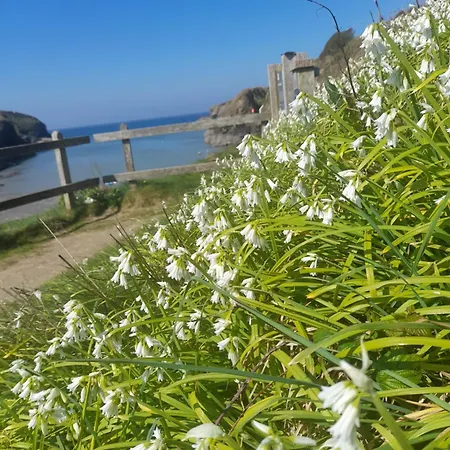 Tintagel Chocolate Box *